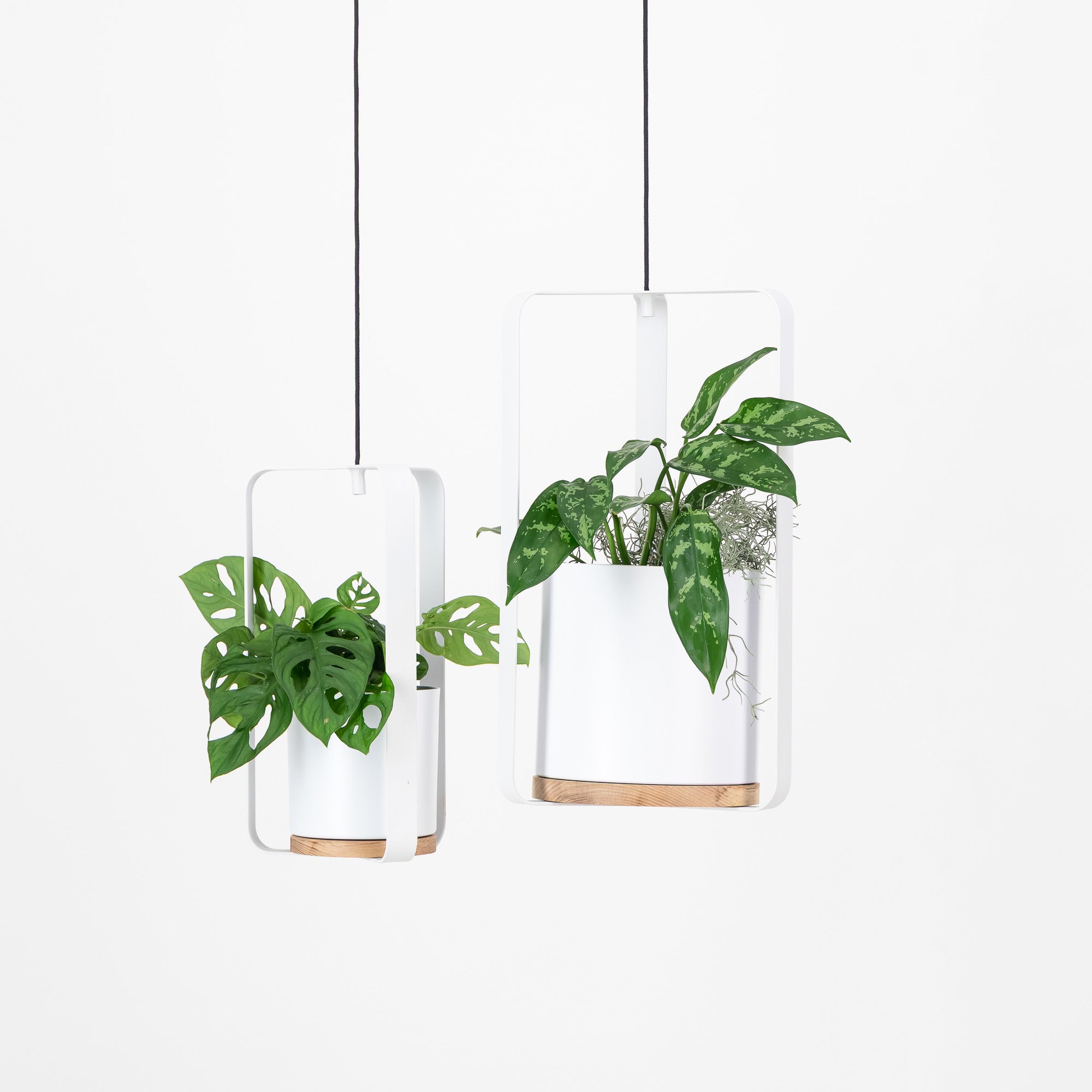 hanging plants south africa EKO | Hanging Planter