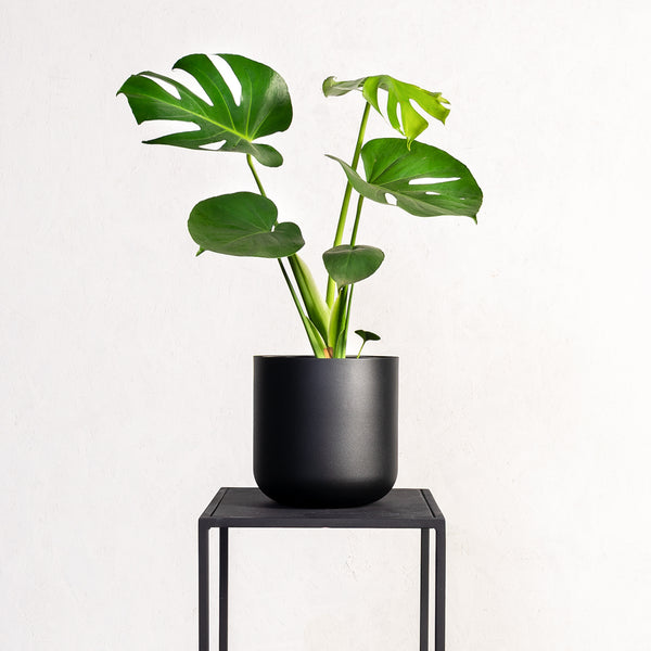 Plantr | small black round planter. Curved steel pot plant. Aluminium spun