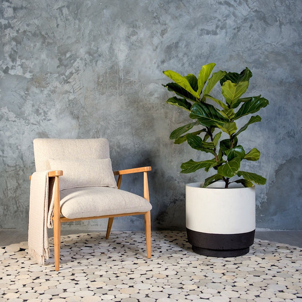 Plantr | Onyx Concret pot plant. Fibre clay indoor outdoor concrete planter black & white
