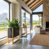 Blomma | In Steel - Architectural planter box. Steel plant trough with timber wood legs. Designer plant pot cape town johannesburg South Africa. wabi sabi scandinavian 