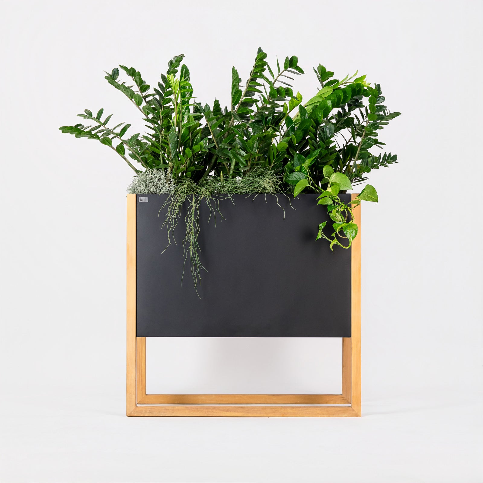 Blomma_In_Steel_3_1600x.jpg?v=