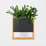 Blomma | In Steel - Architectural planter box. Steel plant trough with timber wood legs. Designer plant pot cape town johannesburg South Africa. wabi sabi scandinavian 