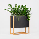 Blomma | In Steel - Architectural planter box. Steel plant trough with timber wood legs. Designer plant pot cape town johannesburg South Africa. wabi sabi scandinavian 