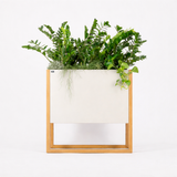 Blomma | In Steel - White Architectural planter box. Steel plant trough with timber wood legs. Designer plant pot cape town johannesburg South Africa. wabi sabi scandinavian 