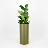 Large metal planter with self-watering liner light ivory. Contemporary loft planter in stainless steel