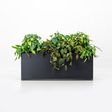 Steel plant box powdercoated in black. Durbale contemporary architectural pot plant handmade in stainless steel for outdoor use.
