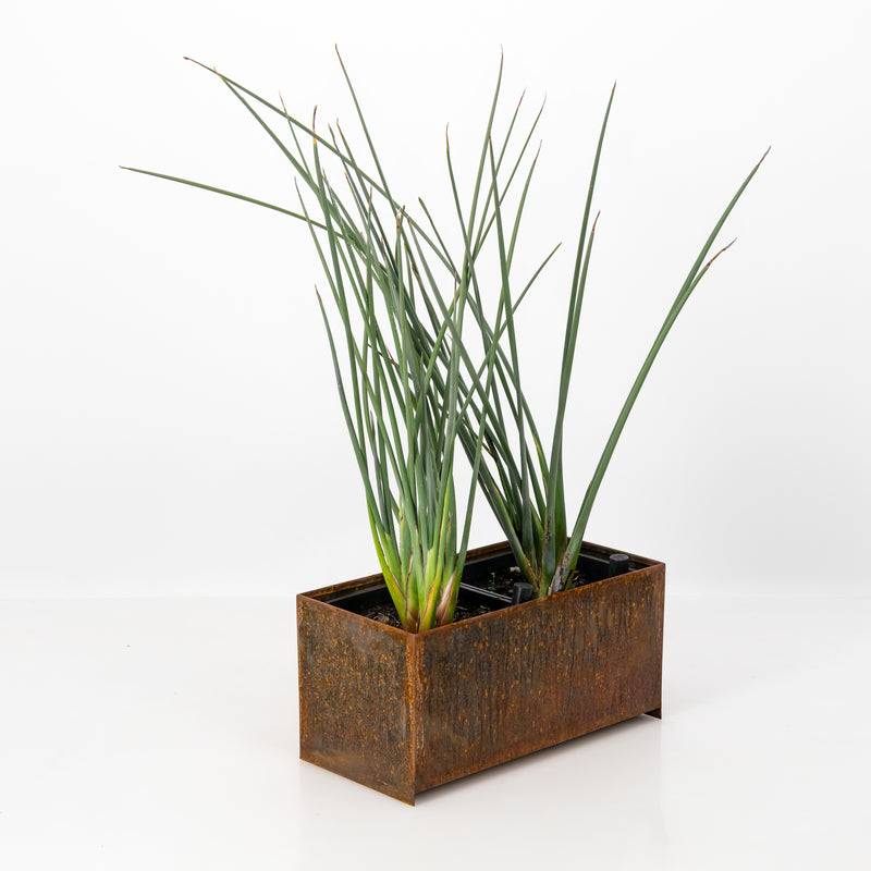 Loft Planter | Corten