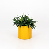 Loft Planter Round