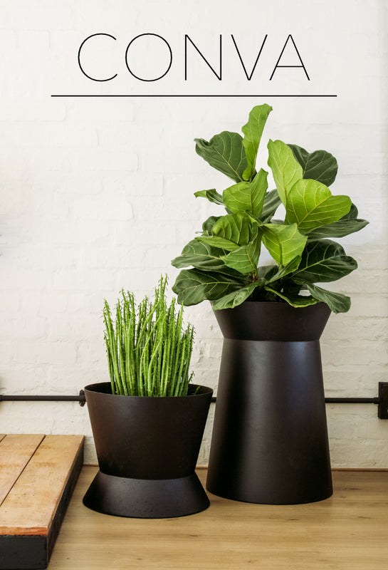 Plantr | Conva pot plant - steel contemporary home and office planter box. Black Stainless steel powder coated round plant pot 