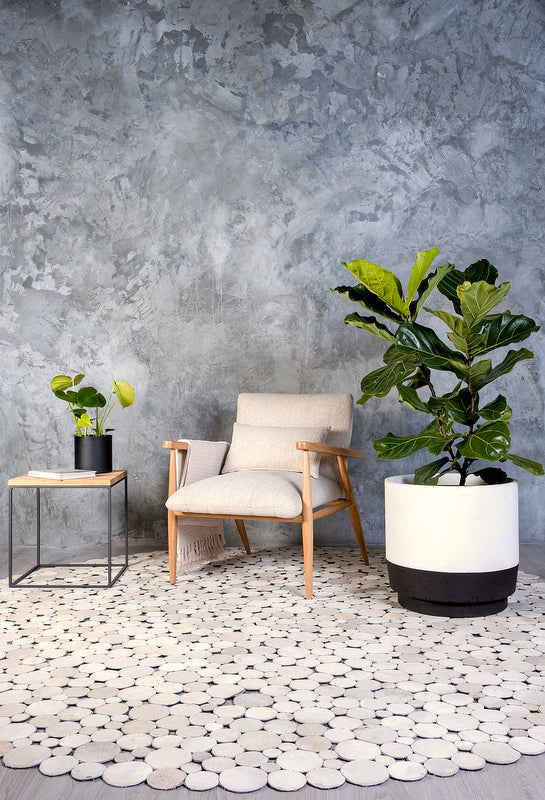 plantr concrete fibre clay modern pot plants black and white round plants and planter box
