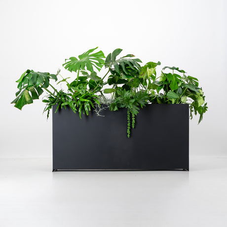 Plantr - Loft Plantr Stainless Steel Powder coated planter box. Steel pot plant trough. Architetural black planter box