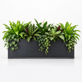 Steel plant box powdercoated in black. Durbale contemporary architectural pot plant handmade in stainless steel for outdoor use.