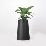 Round tapered steel planter pot plant. Iroko wood base, contemporary pot plant South Africa. Handmade in stainless steel for outdoor use