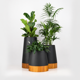 Round tapered steel planter pot plant. Iroko wood base, contemporary pot plant South Africa. Handmade in stainless steel for outdoor use