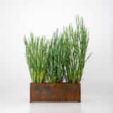 corten steel pot plant cape town South Africa. Custom corten planter box