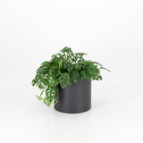 Premium Loft Planter - Round Steel indoor outdoor pot plant black white. Large metal planter with self-watering liner