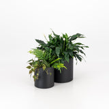 Premium Loft Planter Trio - Round Steel indoor outdoor pot plant black white. Large metal planter with self-watering liner