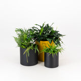 Premium Loft Planter Trio - Round Steel indoor outdoor pot plant black white. Large metal planter with self-watering liner