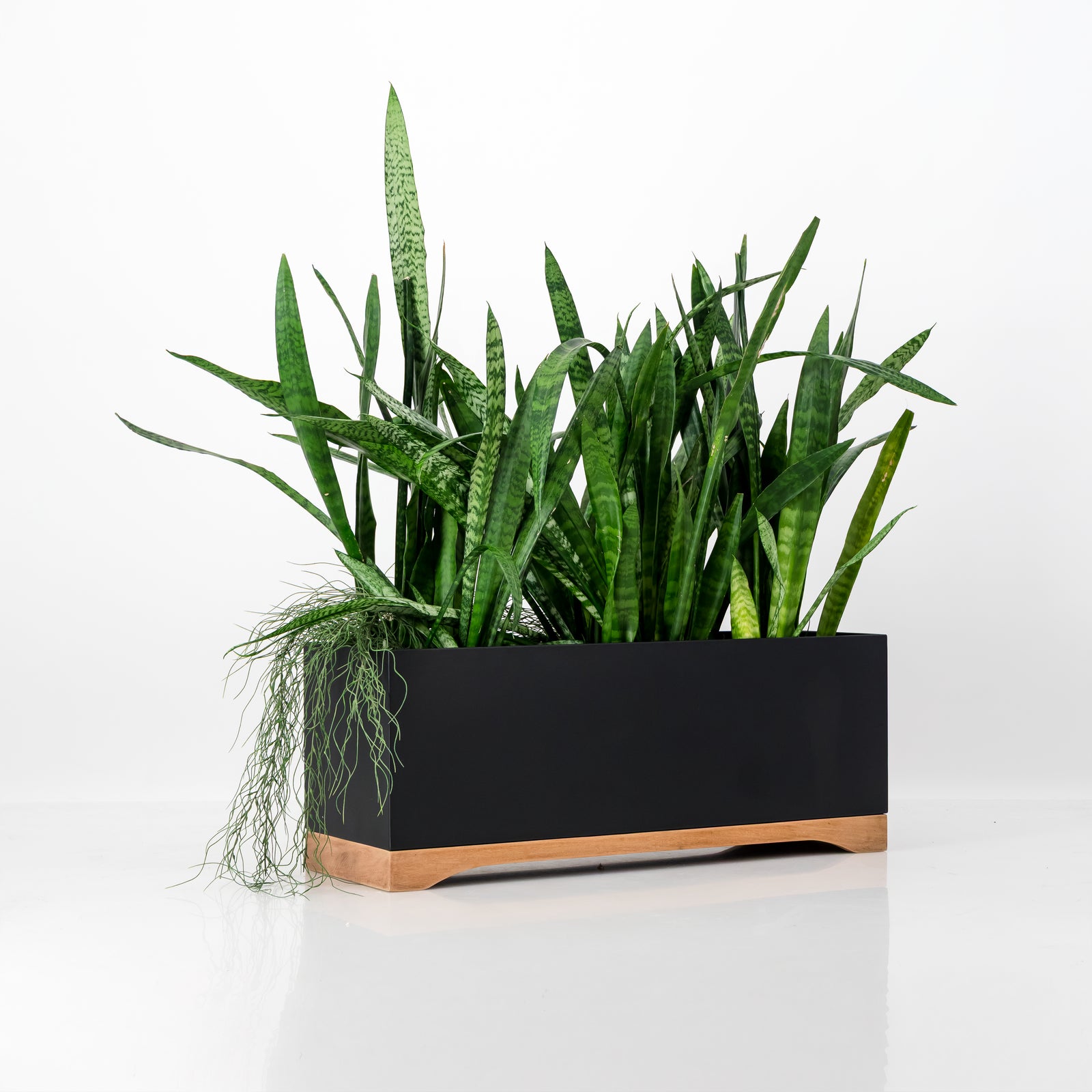 Plantr | The TAO Planter | Outdoor & Indoor Planters