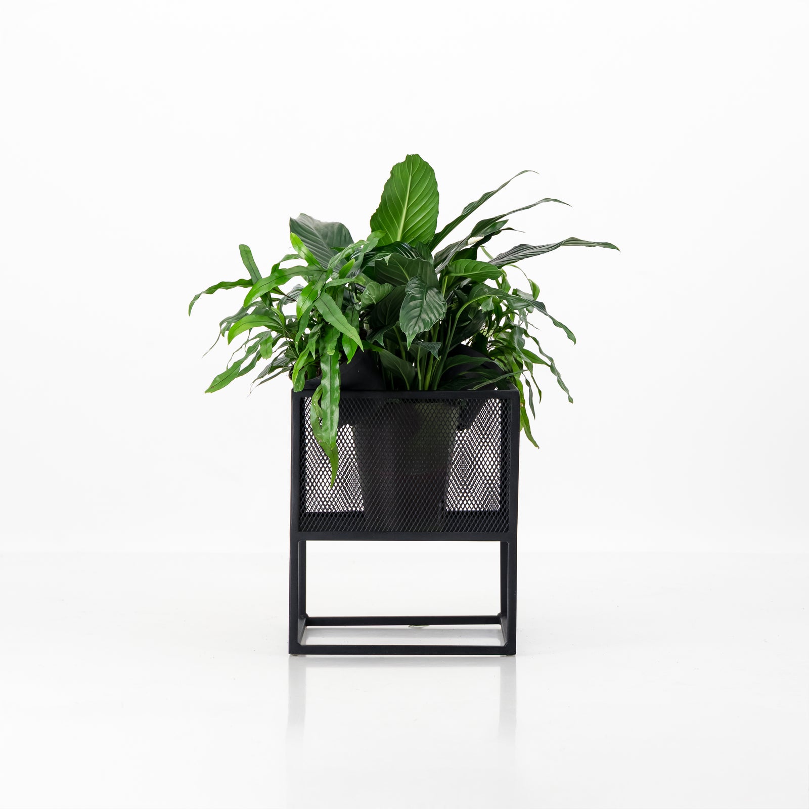 pot plant stand south africa Plantr | Holy Cube Planter Stand
