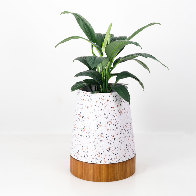 The Conica | Iroko Timber Base