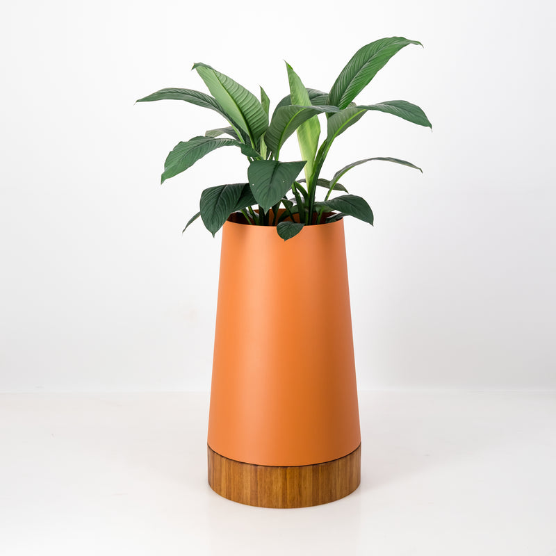 The Conica | Iroko Timber Base