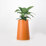 The Conica | Basic
