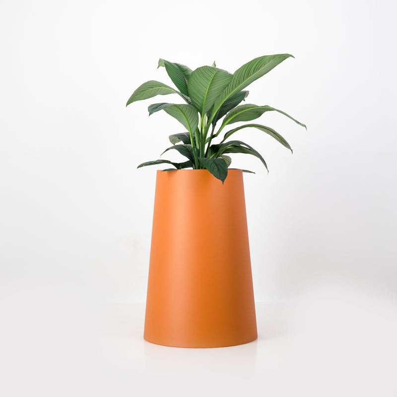 The Conica | Basic