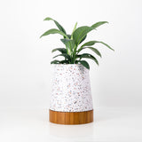 The Conica | Iroko Timber Base