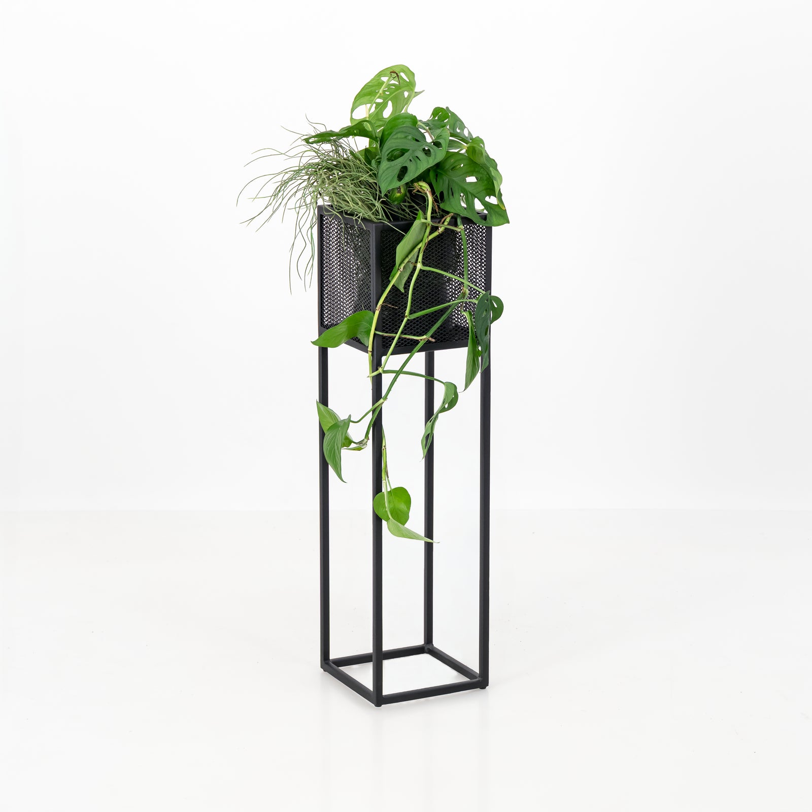 pot plant stand south africa Plantr | Holy Cube Planter Stand