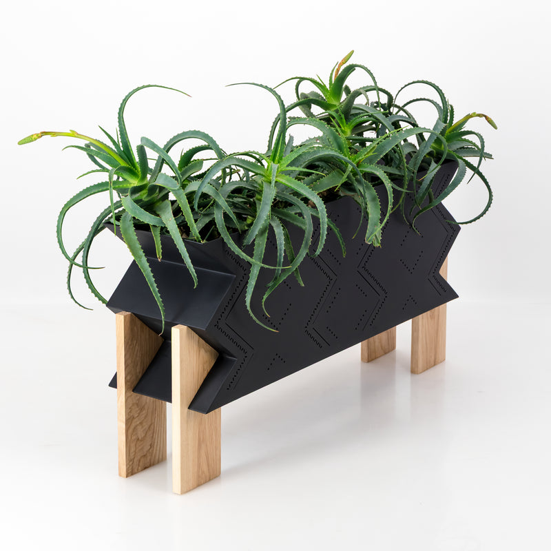 Low Poli Aloe