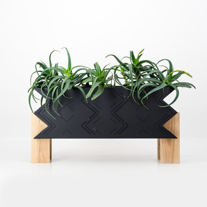 Low Poli Aloe
