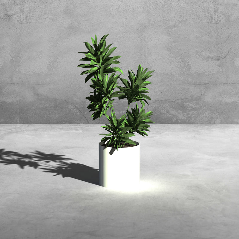 Plantr, Planters, Round Planter, Small Planters, Short Planter, Stainless Steel, Matte Planters, Custom, Custom Planters, Contemporary, Contemporary Planters, Modern, Modern Planters, Designer, Designer Planters, Architectural, Architectural Planters Edit alt text  Edit alt text