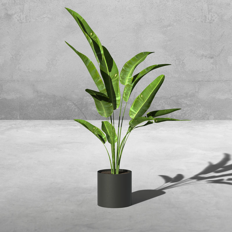 Plantr, Planters, Round Planter, Medium Planters, Short Planter, Stainless Steel, Matte Planters, Custom, Custom Planters, Contemporary, Contemporary Planters, Modern, Modern Planters, Designer, Designer Planters, Architectural, Architectural Planters 