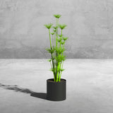 Plantr, Planters, Round Planter, Medium Planters, Short Planter, Wide Planter, Stainless Steel, Matte Planters, Custom, Custom Planters, Contemporary, Contemporary Planters, Modern, Modern Planters, Designer, Designer Planters, Architectural, Architectural Planters
