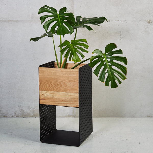 Plantr | Planters & Pot Plants - Stainless steel premium oak ash wood office