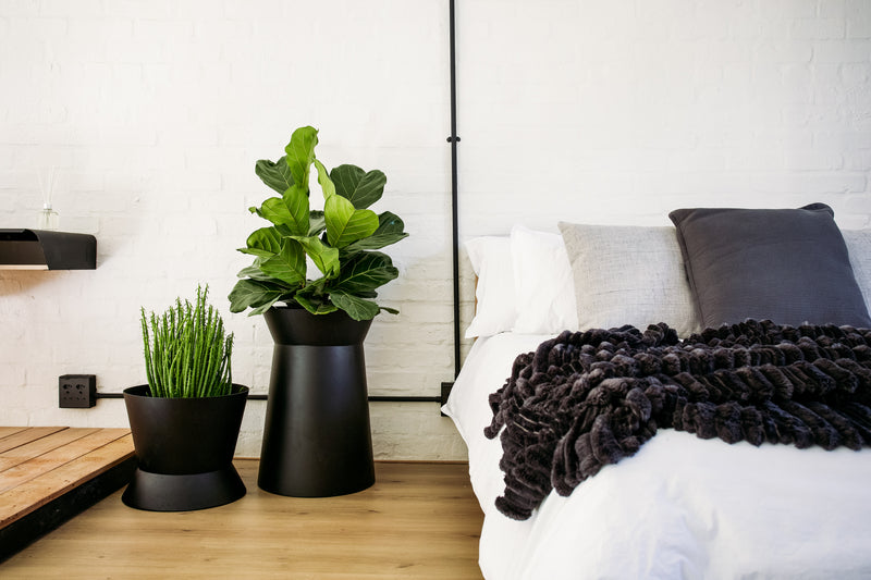 Plantr | Conva Planter - hourglass black steel pot plant | Interior, Outdoor, or custom pround plant pot. Contemporary, modern planters