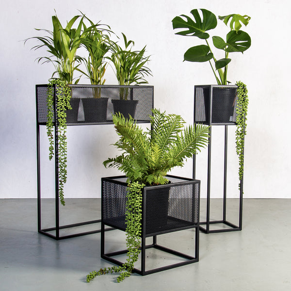 indoor pot plants south africa Plantr | Holy Cube Planter Stand