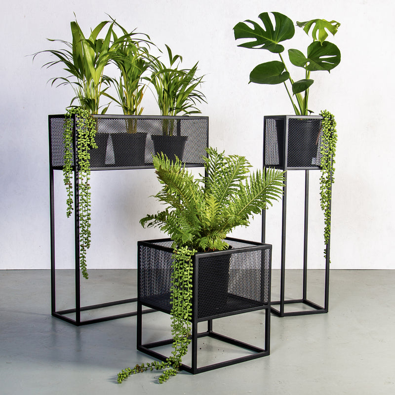 Plantr | Planters Cape Town | Pot Plants South Africa | Planter Stand | Holy Cube Steel Mesh Plant