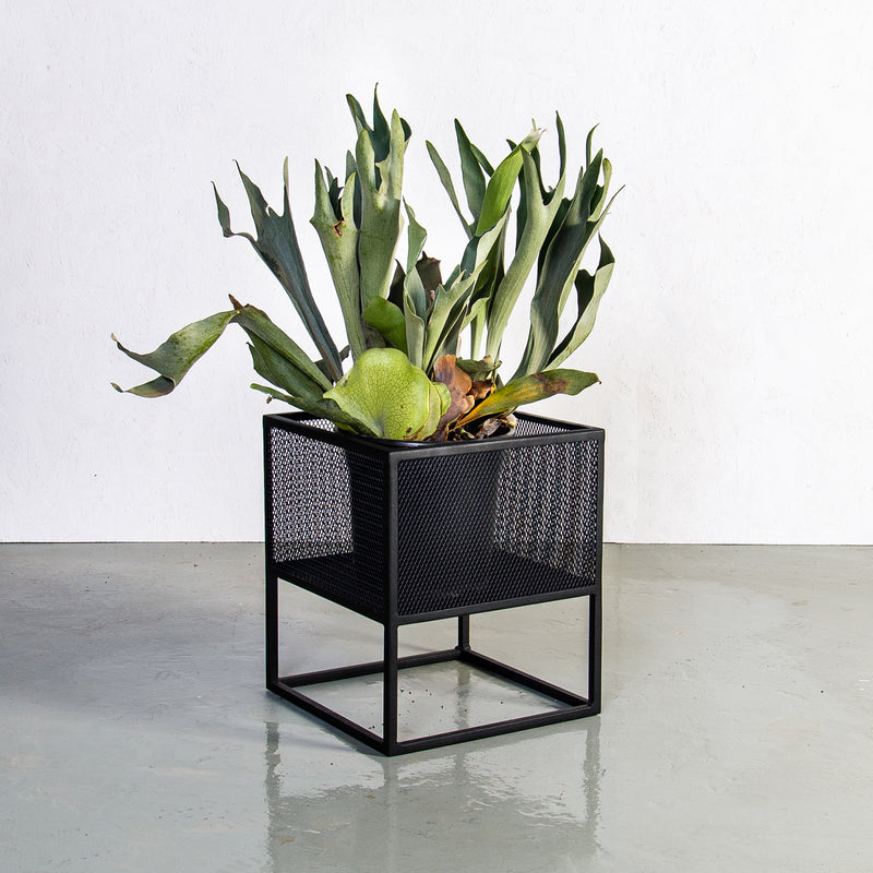 Plantr | Planters Cape Town | Pot Plants South Africa | Planter Stand | Holy Cube Steel Mesh Plant