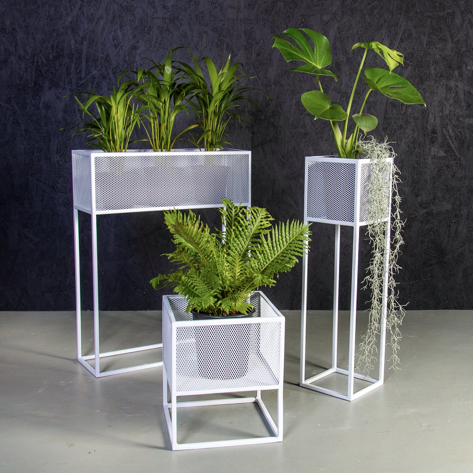 pot plant stand south africa Plantr | Holy Cube Planter Stand
