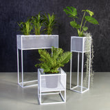 Plantr | Planters Cape Town | Pot Plants South Africa | Planter Stand | Holy Cube Steel Mesh Plant