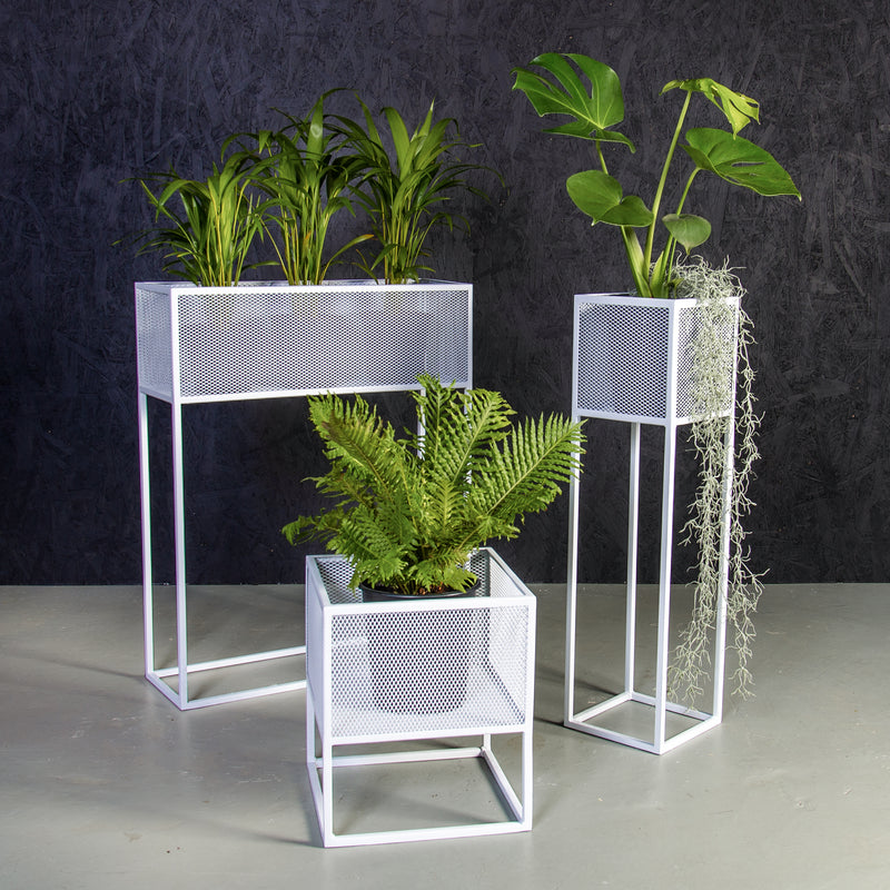 plant pots for sale durban Plantr | Holy Cube Planter Stand