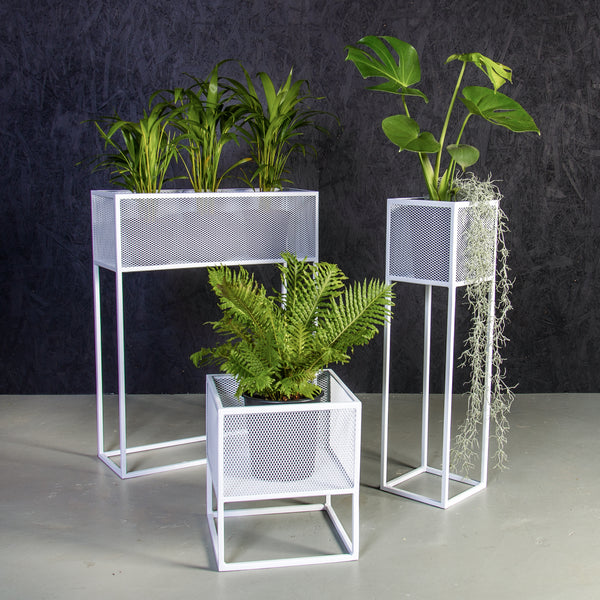 Plantr | Planters Cape Town | Pot Plants South Africa | Planter Stand | Holy Cube Steel Mesh Plant