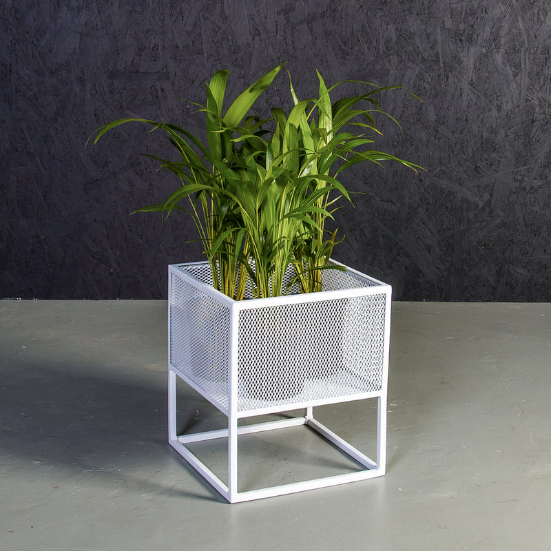 Plantr | Planters Cape Town | Pot Plants South Africa | Planter Stand | Holy Cube Steel Mesh Plant