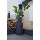 Planter, Planters Cape Town, South Africa, Plants, Custom steel, round outdoor plants, Plantr