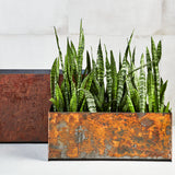 Corten Steel Cape Town South Africa. Custom Corten Steel plater and steel structures