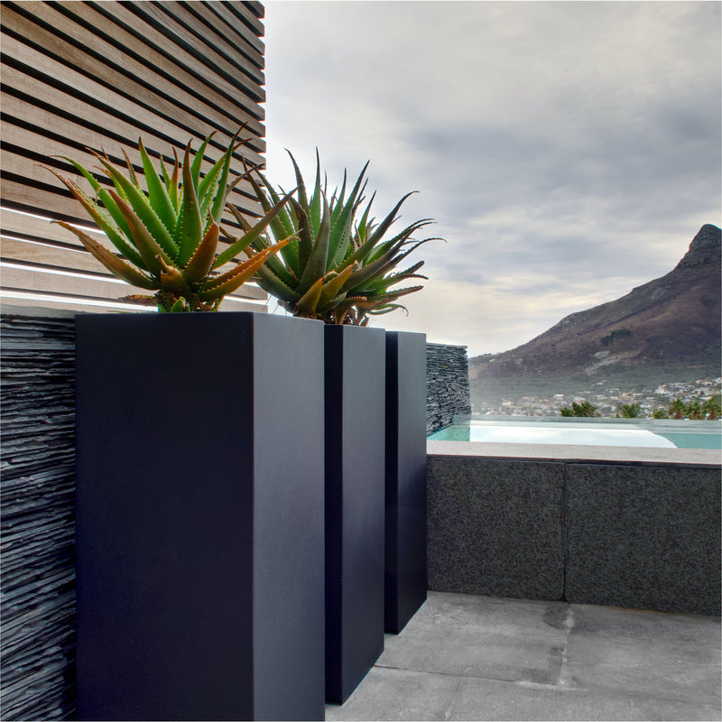 plantr pot plants Cape Town. custom loft Alta tall planter box office and corporate rentals