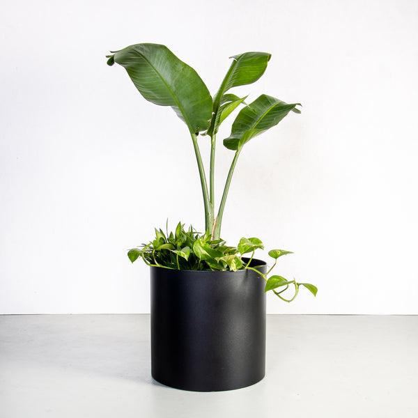 Plantr Planters Pot Plants Office steel black loft custom furniture indoor