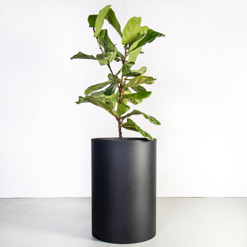 Plantr Planters Pot Plants Office steel black loft custom furniture indoor